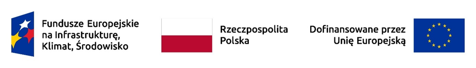 logotyp dofinansowane z EU